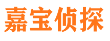 平顶山市侦探公司
